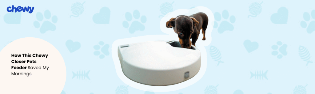 Chewy Blog Banner Image