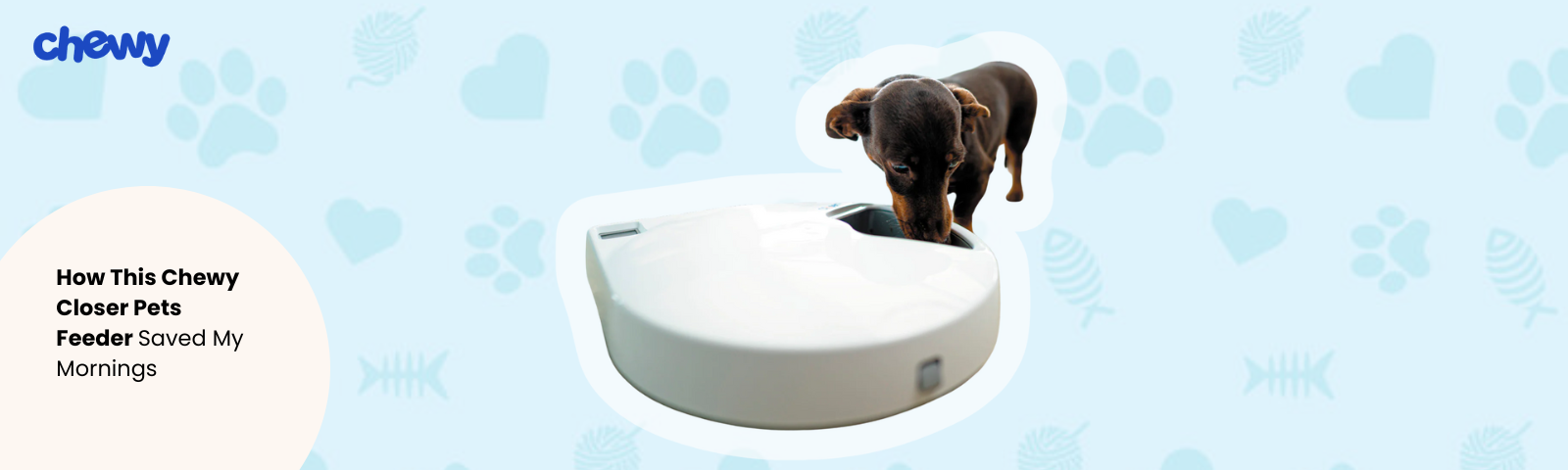 Chewy Blog Banner Image